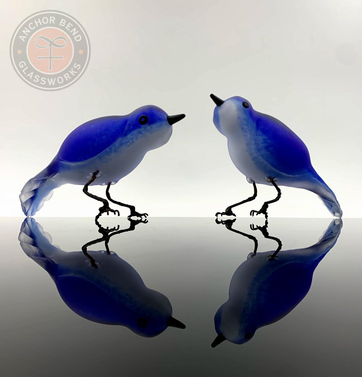 New Bluebirds! conta.cc/3tzO6Pm