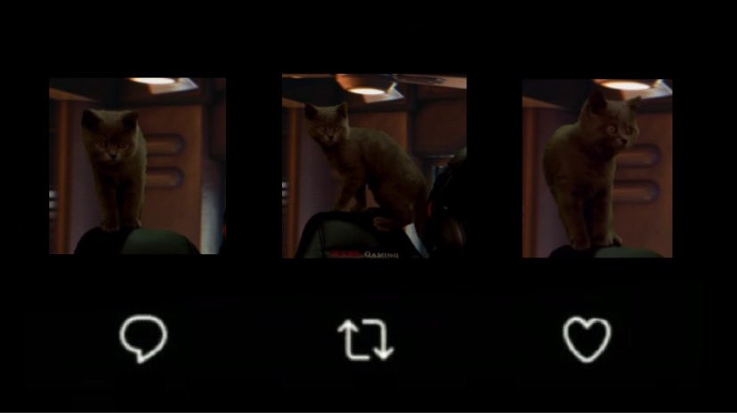 onyx ᯓ★ tweet media