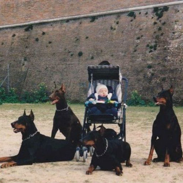 ARTIFAXING (@pedestrian) on Twitter photo 