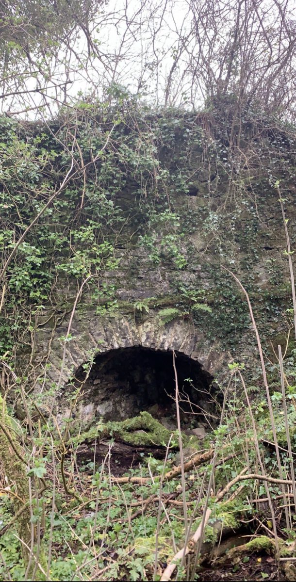 Day 7 of  #FarmlandBiodiversity and today, something slightly different. Old stone structures on farms are an important part of our cultural heritage but did you know they are important for wildlife too? This is one of our lime kilns, let me explain more....