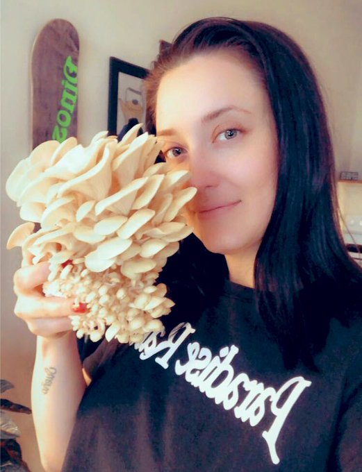 Golden Oyster mushroom lunch! @northspore https://t.co/9uCDuGXYH0<a class="tags" target="_blank" title="On Twitter" href="/?out=eyJ0eXAiOiJKV1QiLCJhbGciOiJIUzUxMiJ9.eyJpYXQiOjE3MjE0MjEyMDksImlzcyI6InR3cG9ybnN0YXJzLmNvbSIsIm5iZiI6MTcyMTQyMTIwOSwiZXhwIjoxNzUyOTU3MjA5LCJyZWRpcmVjdF91cmwiOiJodHRwczovL3R3aXR0ZXIuY29tL25vcnRoc3BvcmUifQ.INYD65UZD1lrH_HSMNM4NV33YhopBSJVNT4RYXl-QmdMxYQtjxVud3BSvMqFrYncYPUSysso8J_xVlTqMRne5g">@northspore</a><a href="/tag/nsfw"class="tags"><span>#nsfw</span></a><a href="/tag/kanearmy"class="tags"><span>#kanearmy</span></a>