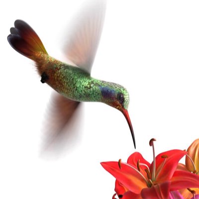 zosfm's tweet image. #صورة_جديدة_للملف_الشخصي