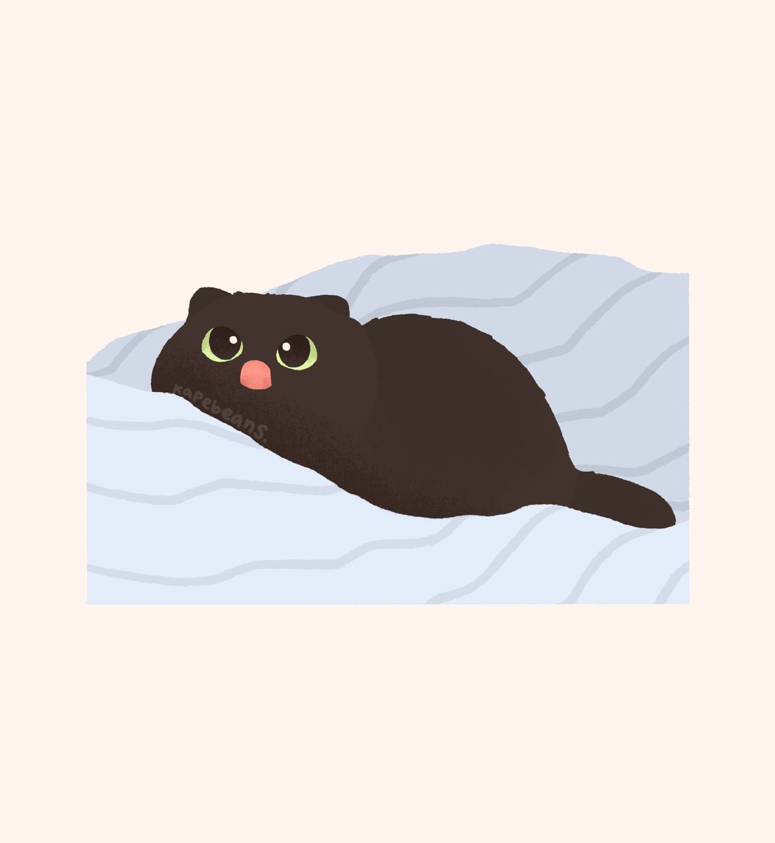 kapebeansies's tweet image. 