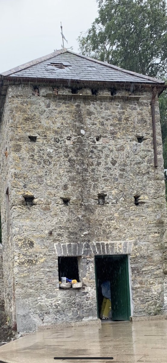 Here is the dovecote, another ideal roost for bats. Did you know all 9 bat species which occur in Ireland use buildings as maternity & winter roosts? Buildings like this are also ideal for swifts, swallows and house martins  #FarmlandBiodiversity