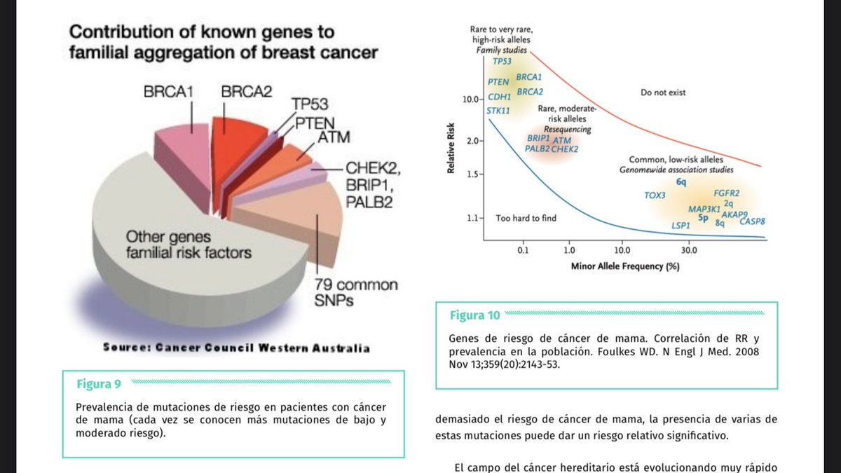 Artículo sobre genética en cancer de mama desde <a href="/CirugiaRiotinto/">Cirugia Riotinto</a> para CIRUGIA ANDALUZA de la <a href="/asacirujanos/">asacirujanos</a>  Gran número sobre cirugía de mama. <a href="/aec_mama/">aec_Patologíamamaria</a> <a href="/aecirujanos/">aecirujanos</a> @AECIMA de la mano de <a href="/joaquinlgarcia/">joaquin garcia</a> 👏👏