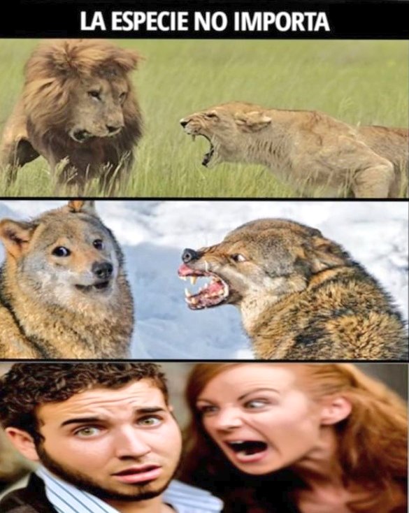 <a href="/halconavicencio/">🌹❤️ELENA MIRANDA V.❤️🌹#E̲l̲e̲M̲i̲r̲a̲n̲d̲a̲</a> @JuanSGE <a href="/Deslegal1/">🌻🌷Fabiola🌷🌻</a> <a href="/Elmaslegal/">🌻🌷Fabiola 🌷🌻</a> <a href="/AngeloPoni/">Angelo Poni Fernandez</a> <a href="/ilegalilegal1/">@ilegal_ilegal</a> <a href="/HalconaUFF/">♥️Elena Amelia M ♥️#𝔻𝕖𝕁𝕒𝕡𝕠𝕟𝔸𝕣𝕚𝕘𝕒𝕥𝕠🌸</a> <a href="/cagalafiesta/">@Cagalafiesta 🎧🎧🎧</a> <a href="/MarinaEle23/">❣️Marina Elena V.❣️#𝔻𝕖𝕁𝕒𝕡𝕠𝕟𝔸𝕣𝕚𝕘𝕒𝕥𝕠🌸</a> <a href="/MarcelaErcia/">🕉MARCE🐉⚖ #MarceTeAyuda🔮#JesúsCambióMiVida✝</a> <a href="/AngelicsTips/">DIAMANTE</a> <a href="/legal_legal69/">Juan Perez 🧰🧰🔧🔧🪒🪒</a> <a href="/PriscaBrusau/">♦️Bárbara Brusau♦️#AmigosLeais♦️</a> <a href="/AlfonsinNilda/">nilda alfonsin 🇦🇷</a> <a href="/malaCATosa1/">Malacatosa</a> @TerapeutaTRE <a href="/RosaNegra_08/">🖤</a> @Mariana14536340 💓😝💓☝💓☝💓☝💓☝💓