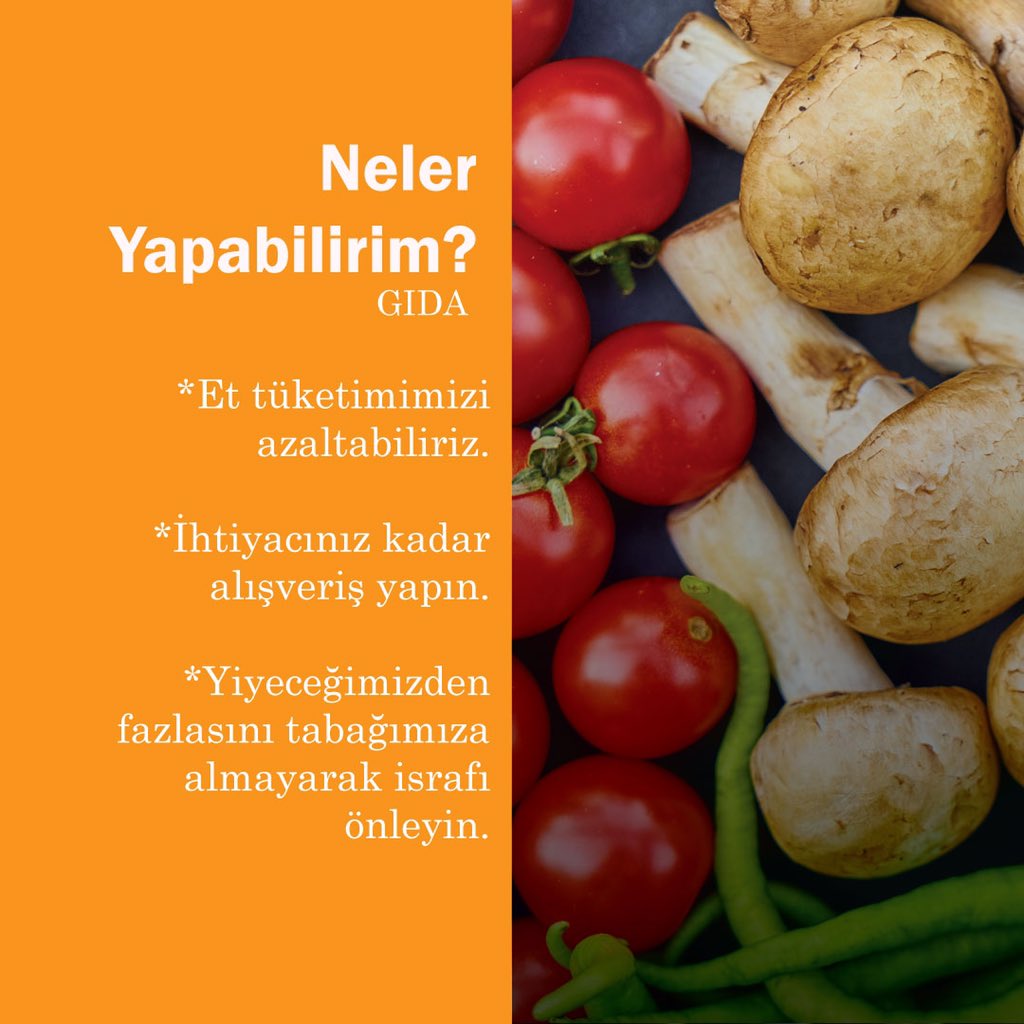 🥕Gıda israfını azaltmak için ne yapabilirim?
•
•
•
#doğanıkoru #geleceğinesahipçık #sutasarrufu #geleceğenefesol #doğa #çevredostu #çevrekirliliği #çevre #havakirliliğinihepbirlikteyenelim #beykozüniversitesi #sukirliliği #gıdaisrafınason #gıdaisrafı @beykozedutr