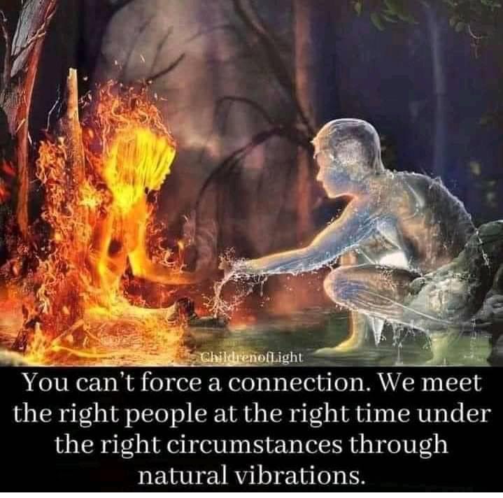 timelesssoul1's tweet photo. So very true #divinetiming https://t.co/jMd7SJAVxh