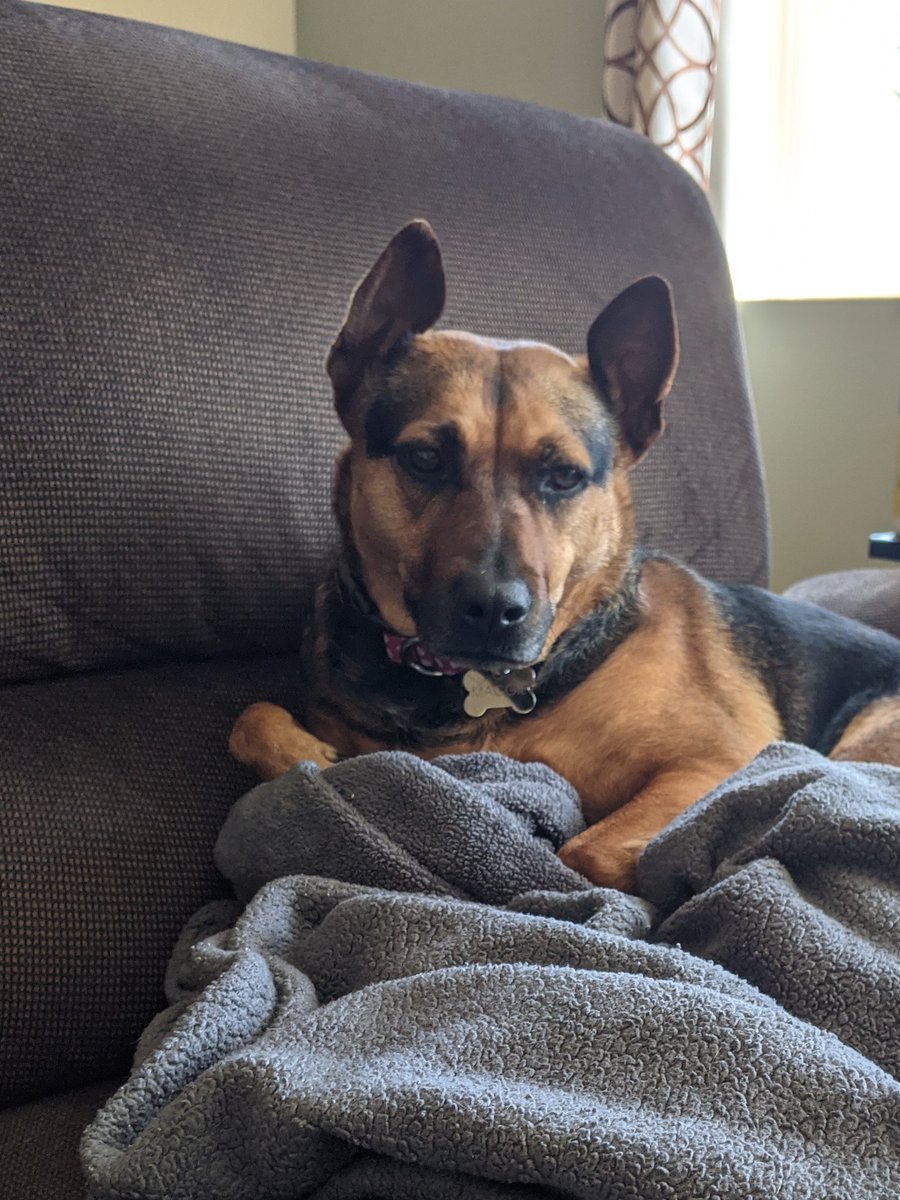 ayejaydoubleyou's tweet photo. @FrauSonne @BlairBraverman With this adorable girl? Nope. https://t.co/jFlULqYk4R