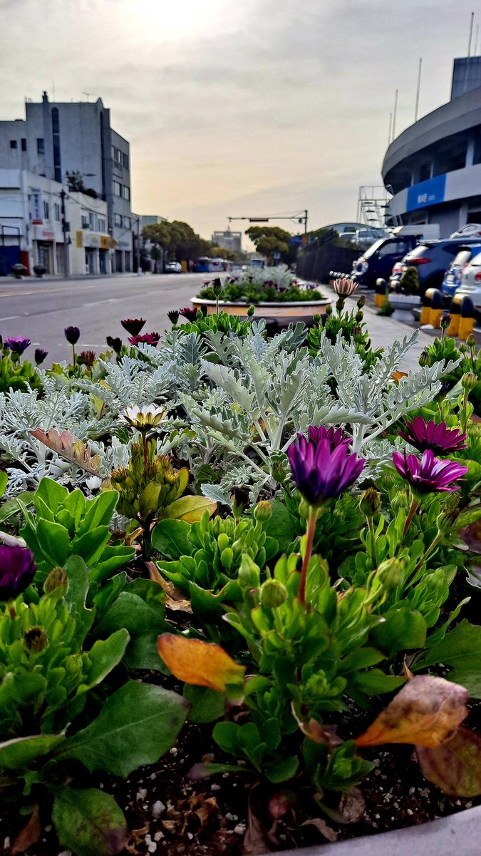 좋은 아침입니다.