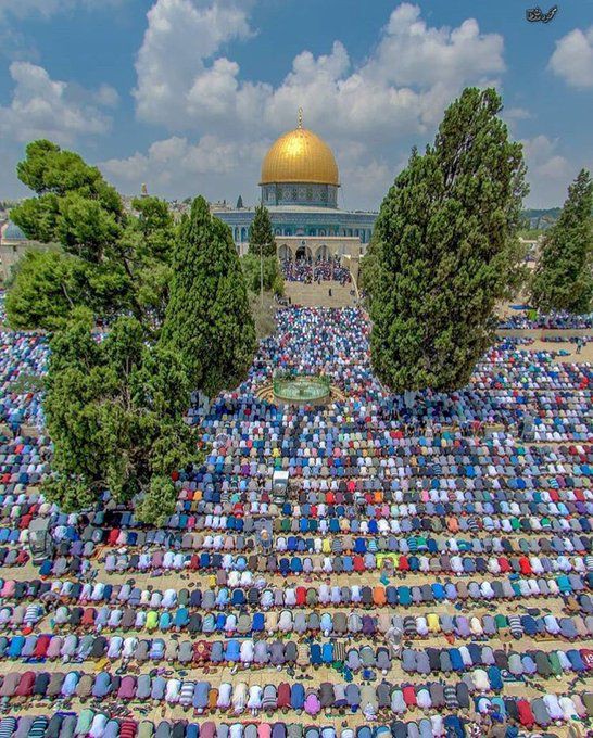 Aimach0's tweet photo. #Israel occupation forces attacked peaceful unarmed worshipers as they knelt in prayer during the holiest of months in #Jerusale
Oh God save Jerusalem.,
https://t.co/vph5AwlG5H