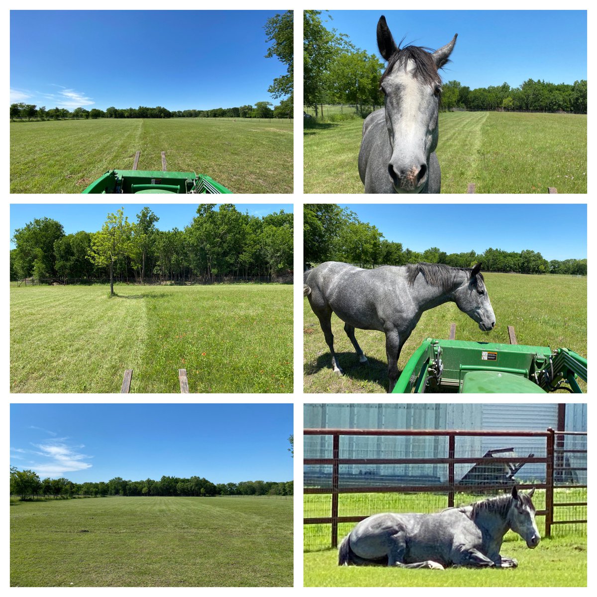 jxk867's tweet photo. Mowing Stormy’s pasture today and she felt like she needed to help until she got tired. #StormyGurl #BlueRoan #JohnDeere #satisfying #countrylife #5HoursLater @depotgurl88 https://t.co/o69XwVtfTN
