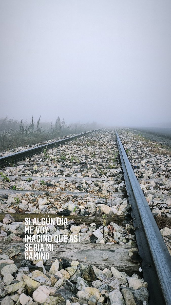 •edl• tweet media