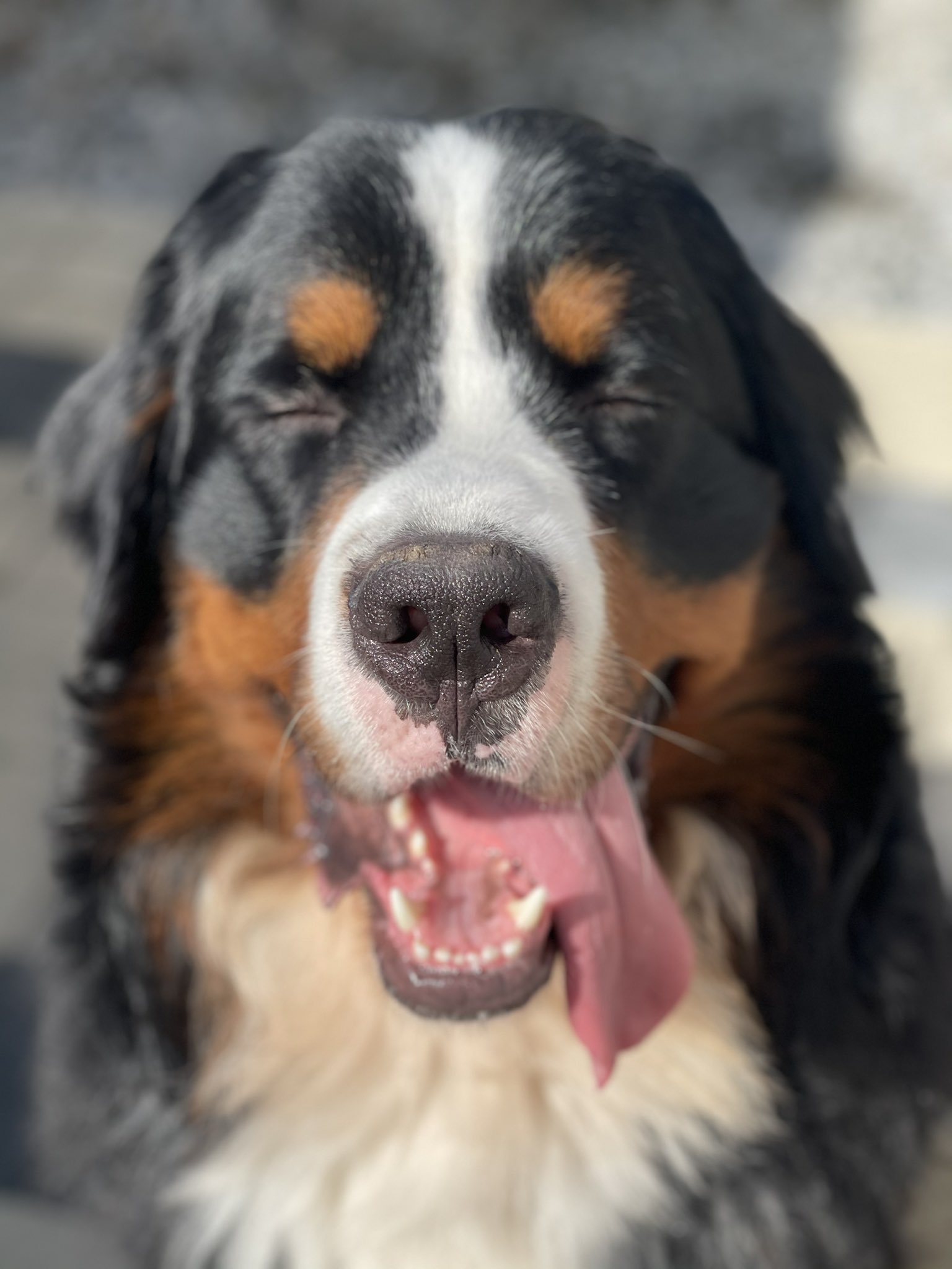 エンツォ 涼介 Enzoandryousuke Twitter