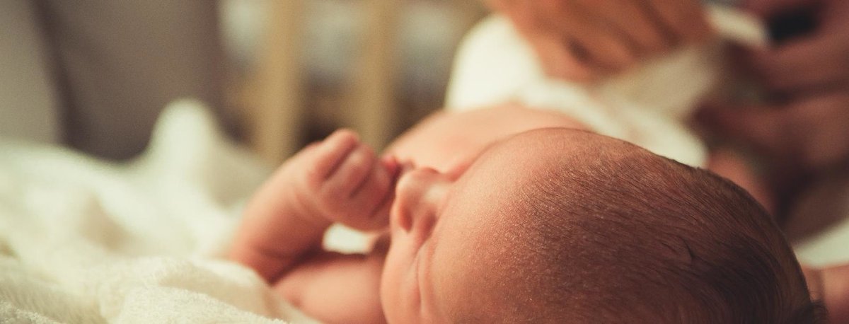 Una preciosa pequeña había venido al mundo en abril de este año.Lástima que no podría conocer ni a su abuela ni a su abuelo. Ambos habían fallecido, la primera asesinada y el segundo en un sanatorio