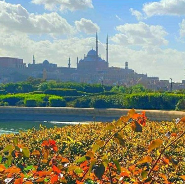اسأل القاهرة tweet media