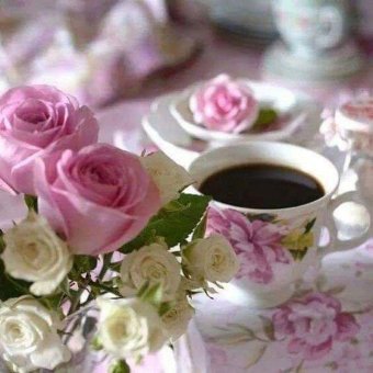 abeer_alwarod's tweet photo. القهوة هي الحبيبة التى لا تمل https://t.co/phbdu1WfBn