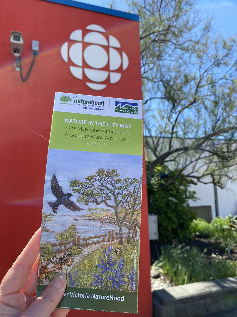 kathelburt's tweet photo. Thank you @KathrynMarlow @AllPointsWestBC great to chat with you &amp; provide info to your listeners about a #community project of @NatureHoodYYJ. The map launches May 8, just in time for @RockyPointBird’s #RPBOBirdWeek &amp; #WMBD2021  #lovewhereyoulive #ConnectWithNature https://t.co/R4DvggEnKQ
