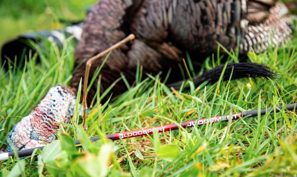 Judgement is in and turns out it was fowl play! #BleedingEdge #TurkeyHunting #TurkeySeason #archery #bowhunting