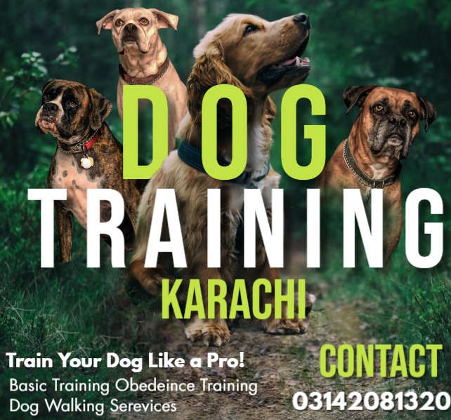 Dog Training Karachi (KarachiDog) Twitter