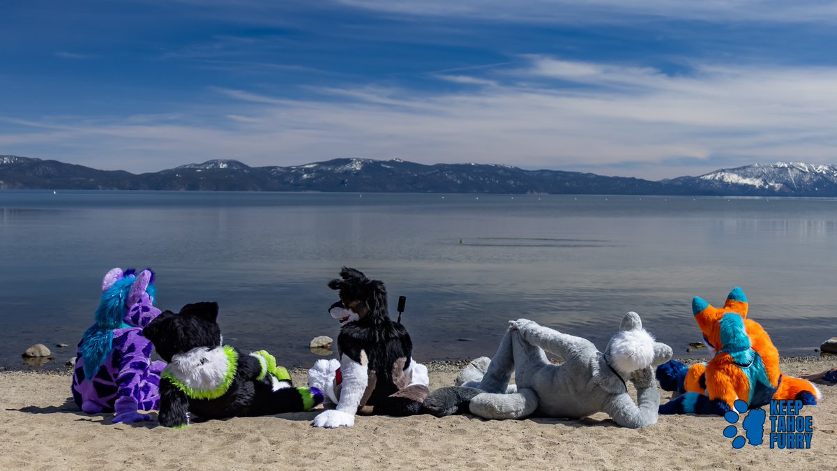 It's been a while since we did an update.See reply thread for all info.We haven't been lazing around the Tahoe beaches too much, I promise!Covid has affected many furcons, including startups.Keep Tahoe Furry is still on track to becoming a furcon!(cont)