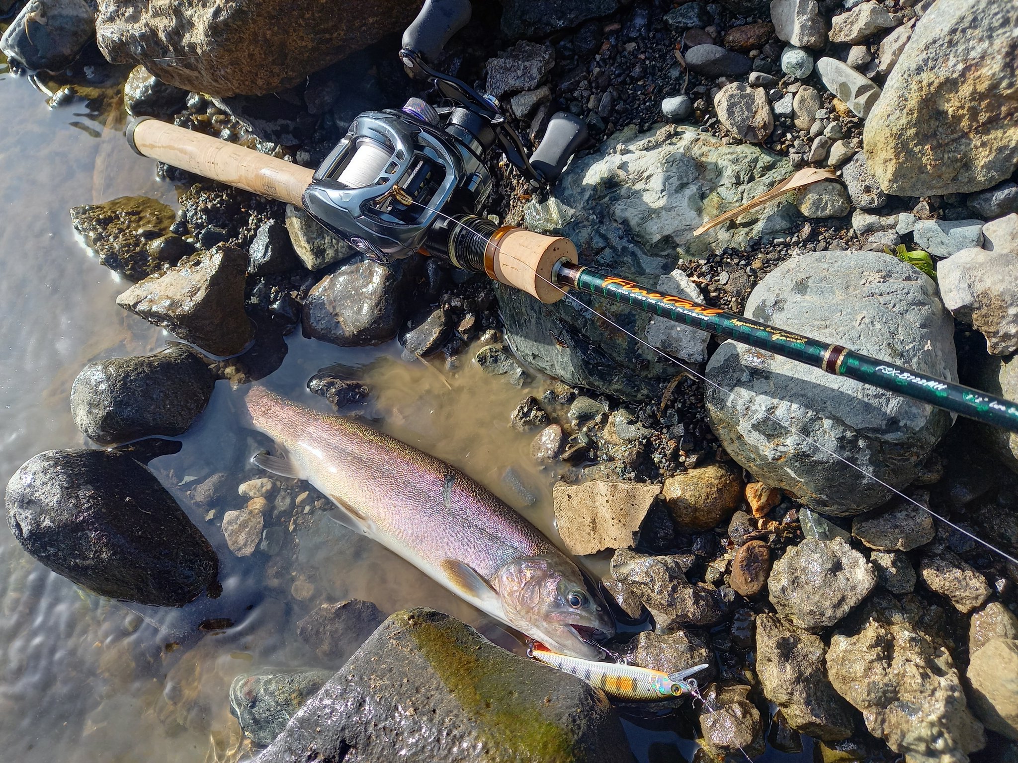 17タトゥーラsvtw Twitter Search Twitter