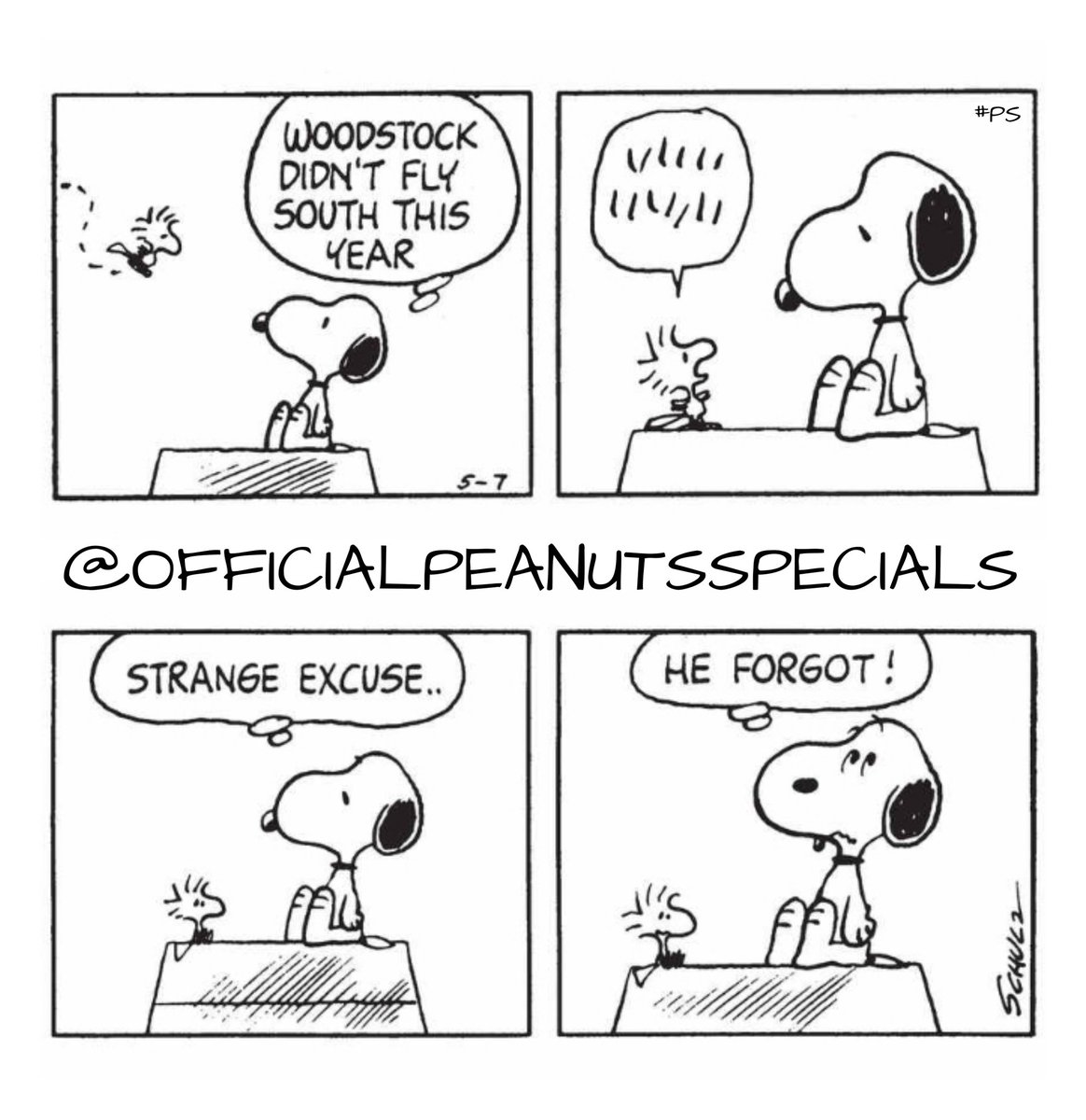 PeanutsSpecials's tweet photo. First Appearance: May 7, 1975
#snoopy #woodstock #fly #south #thisyear #strange #excuse #he #forgot #peanutsfriday #peanutshome #schutz #ps #pnts #peanuts #officialpeanutsspecials https://t.co/gwEEVhY77e