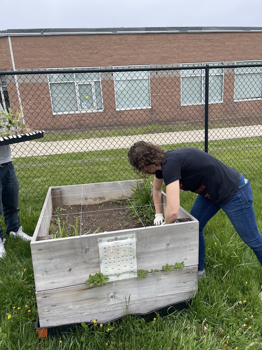 Phoenix Academy tweet media