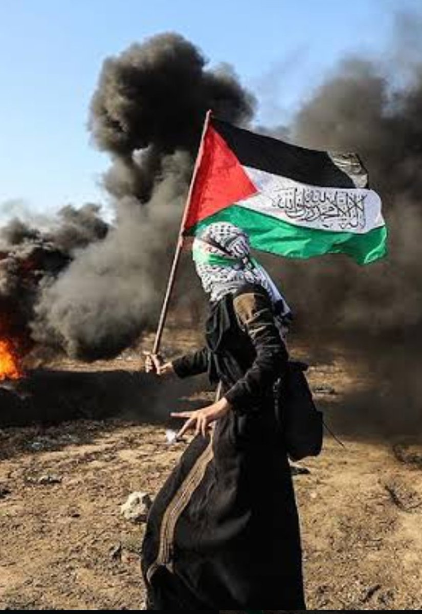 Soyun kurusun it rail
Ortadoğu mezarın olsun. 
Allah on laneti üzerine olsun.