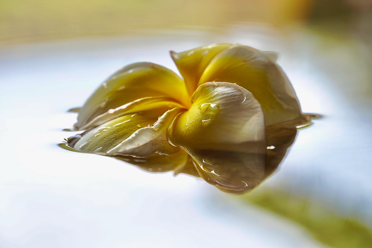 Hanauma Bay Education Program (HBEP) on Twitter ""ALOHA FRIYAY" (5.7.