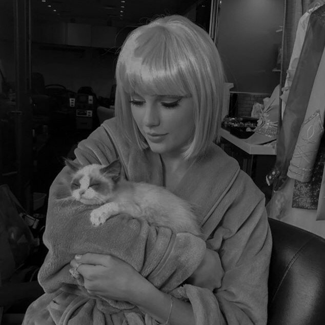 rebputation ❃ tweet media