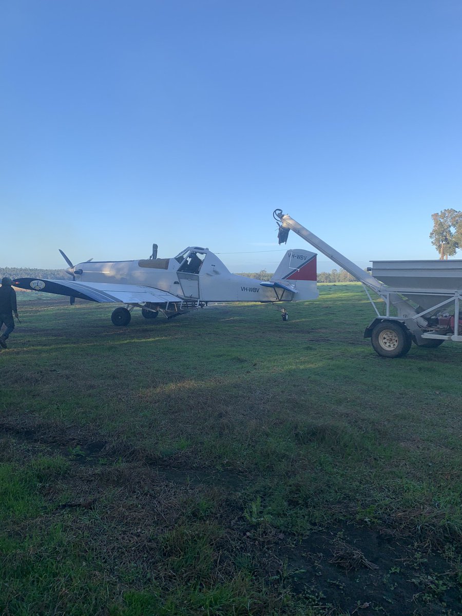 Joyce Air delivering breakfast this morning to the snails. UBER AIR EATS