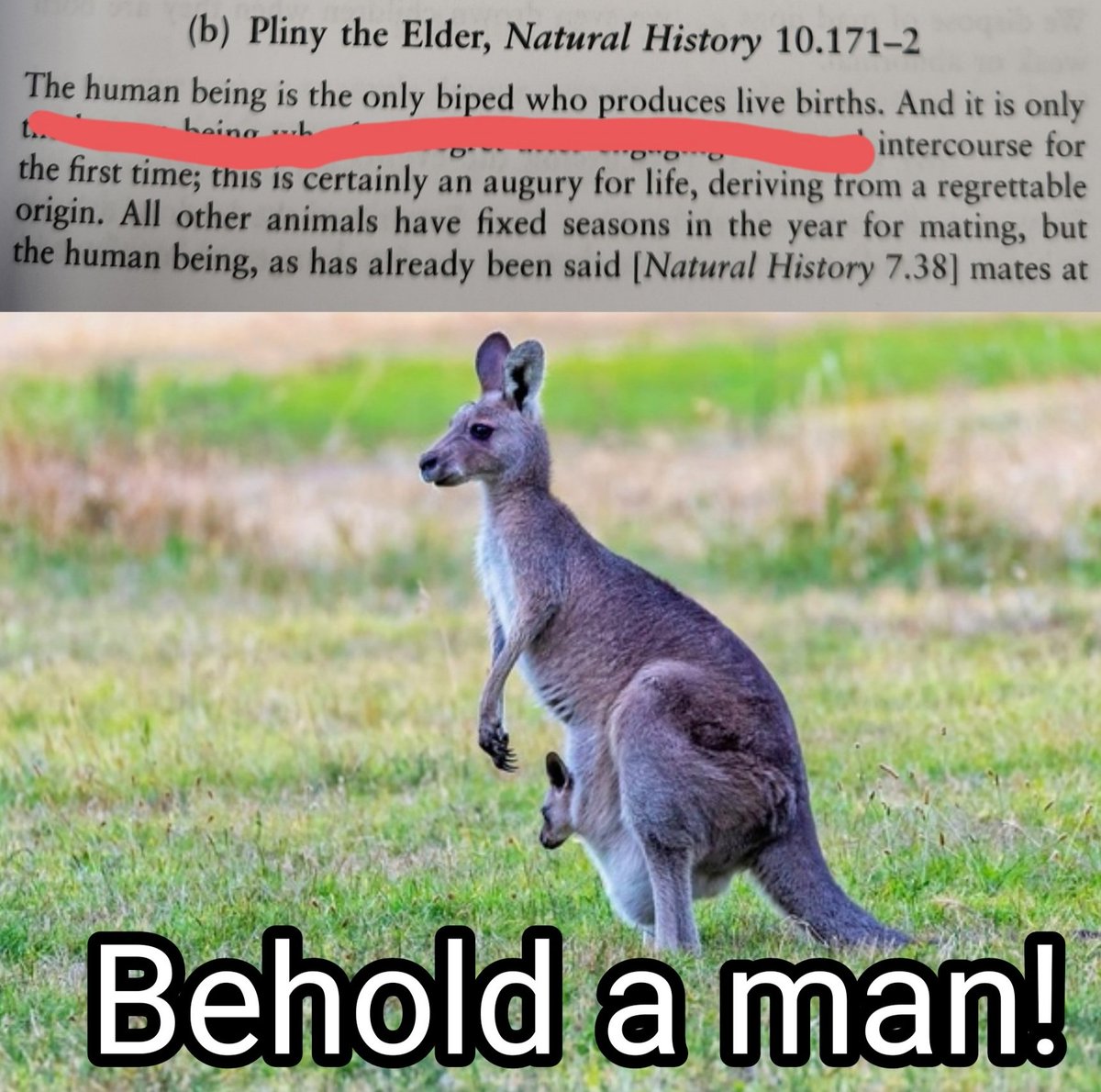 Classical Studies Memes (@csmfht) on Twitter photo 