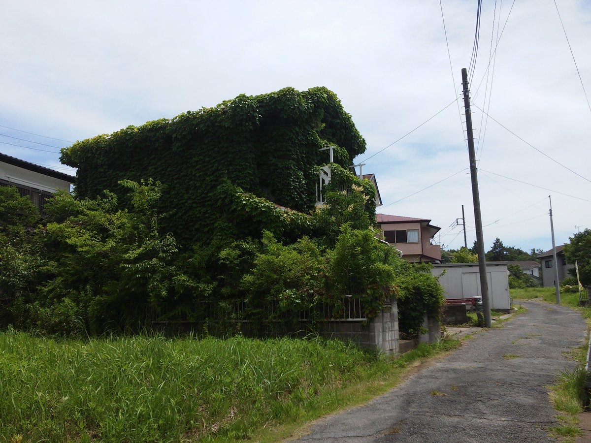 ほんと最悪 敵でしかない ツタ被害を受けた人たちが語る なぜ家にツタを生やしてはいけないか その理由とは Togetter ほんと最悪 敵でしかない ツタ被害を受けた人たちが語る なぜ家にツタを生やしてはいけないか その理由とは Togetter