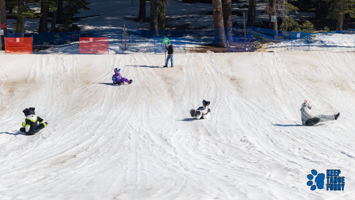 But don't fret, there are still standard hotel rooms too.On site is a ski hill with powered lift and a sledding hill that we have permission to fursuit on! You can walk outside your townhouse room and just a short walk you can go skiing or sledding!(cont)