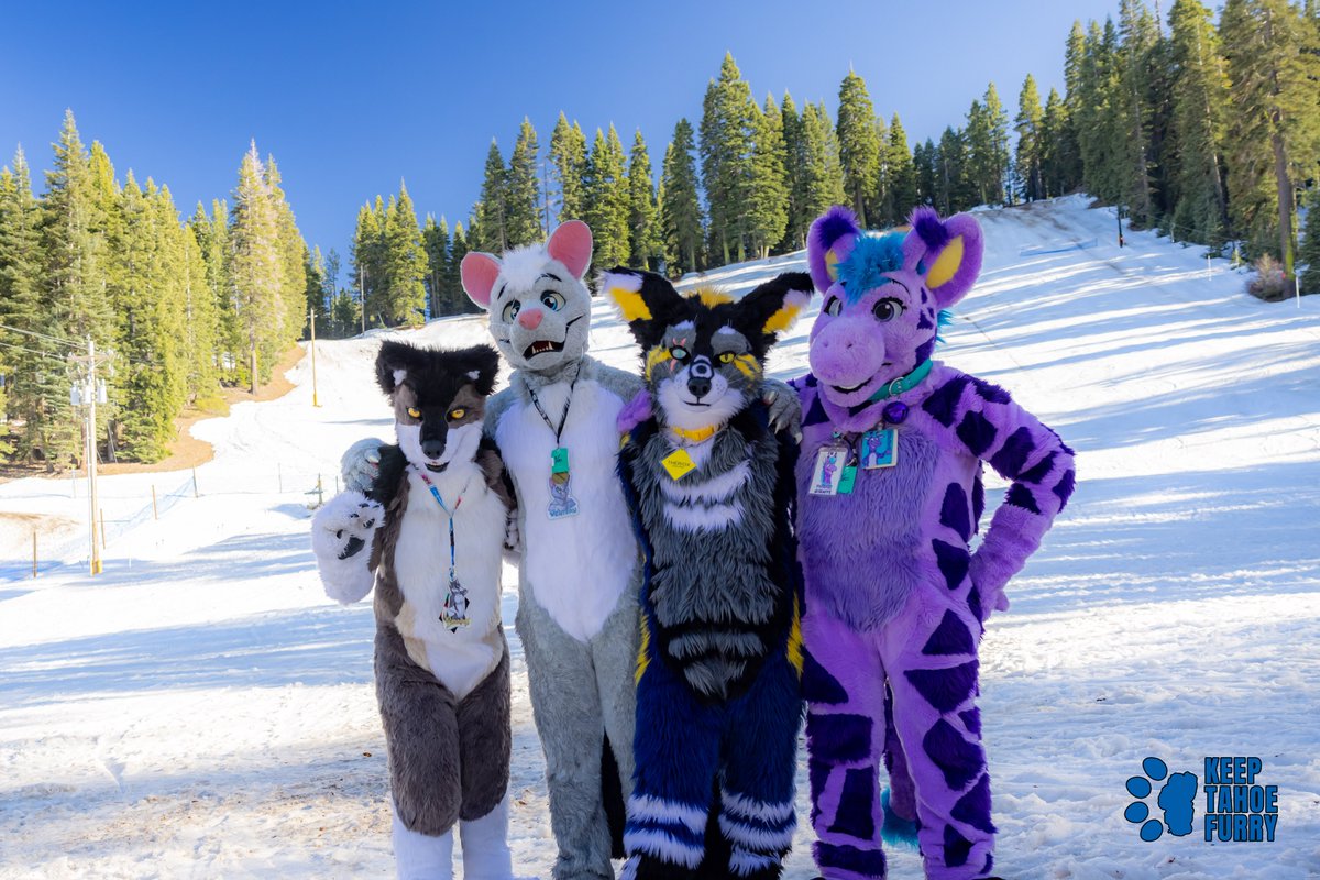 Our goal for Keep Tahoe Furry is to be very different from other cons.We are out in nature, away from the city, large block hotel and airports. (cont)