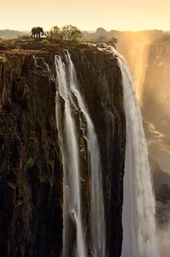 ‘Discovered’ by David Livingstone in 1855, much to the amazement of the African inhabitants who had been living there for centuries, the Victoria Falls remains his most important ‘discovery.’