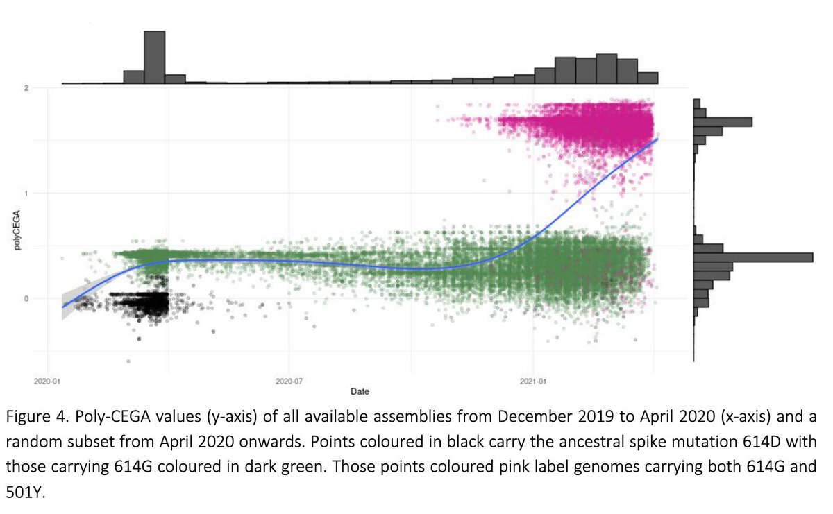We observe two step changes in the estimated transmissibility of   #SARSCoV2 over time. It first increased with the emergence of the D614G haplotype in early 2020, and then again with the emergence of the 501Y VoCs (B.1.1.7) in the second half of 2020.7/ https://www.biorxiv.org/content/1...