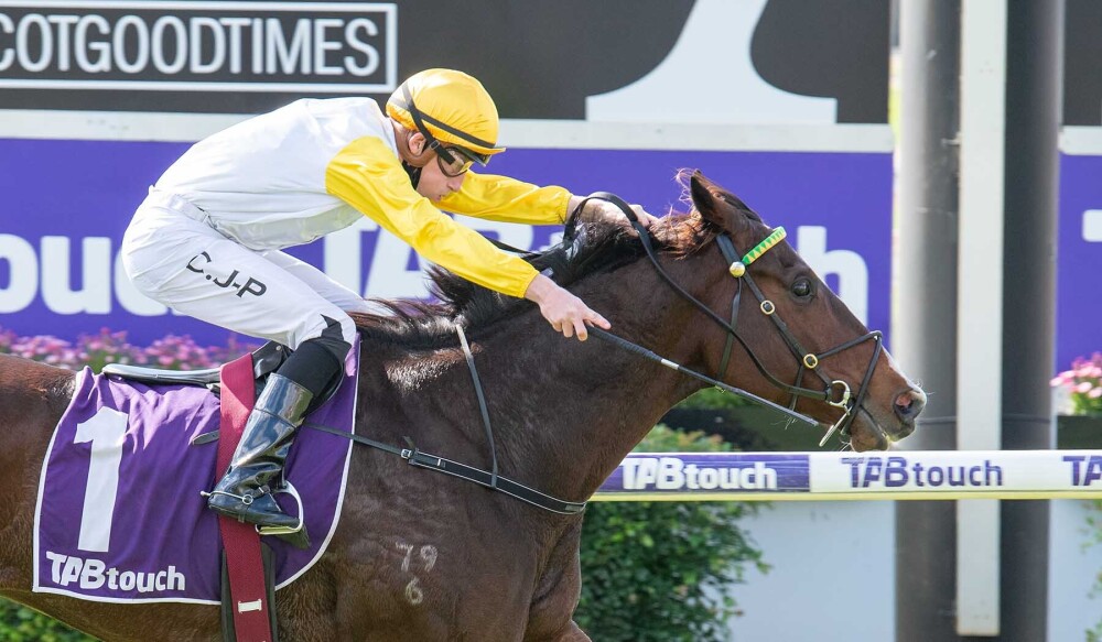 PerthRacing's tweet photo. Fiery Water (Clint Johnston-Porter) Won R2 @TAB_touch Westspeed Platinum Handicap at Ascot Racecourse on Sat 8 May. 📸 @WesternRacepix https://t.co/JVeMcL73eQ