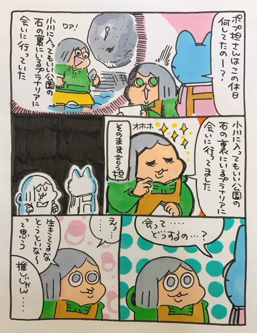 【ポップ担当日記】
プラナリアを初めて見つけた時は教科書の中の有名なアレってこんな身近にいるの!?と驚いたものです・・・ 