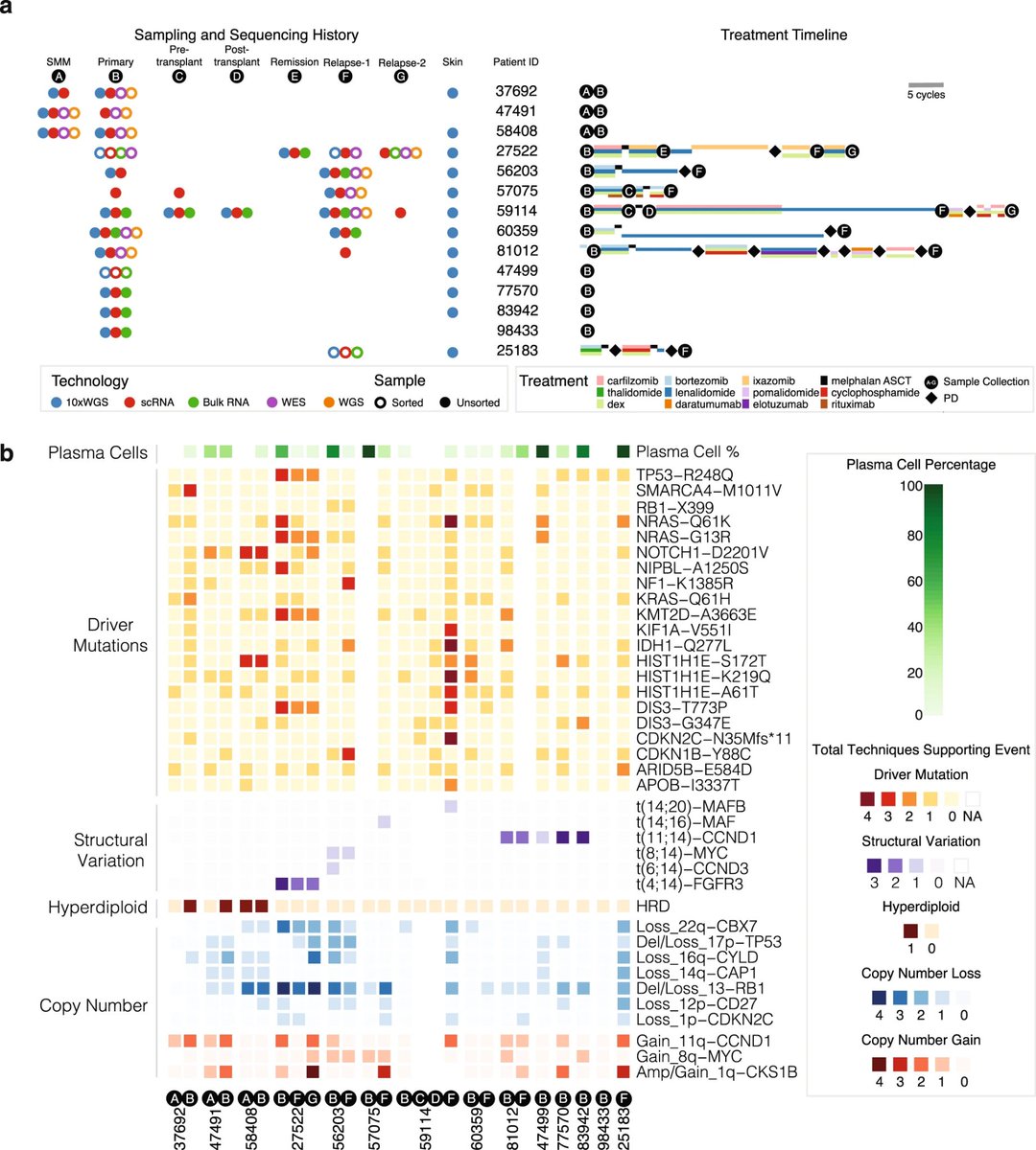 Hegel_MD_PhD's tweet photo. #Singlecell RNA & linked-read whole #genome #sequencing to systematically study #MultipleMieloma in #patients w/different treatments at multiple stages of disease reveals co-evolution of tumor and immune cells during progression.
Congrats to the authors👇
https://t.co/ZE8Ticodp8 https://t.co/x7Do4QBVNS