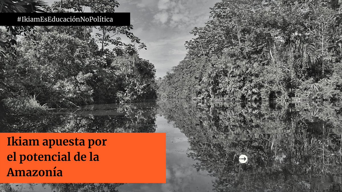 ka94043's tweet photo. 🍄🍄La resolución del @ces_ec se tomó por la nula gestión del ex interventor de @u_ikiam,Jácome, quien no consiguió el proceso electoral #IkiamEsEducaciónNoPolítica #IkiamEsAmazonia #IkiamEsDiversidad @VillaFernando_ @LassoGuillermo https://t.co/hdHIUFIx4Y