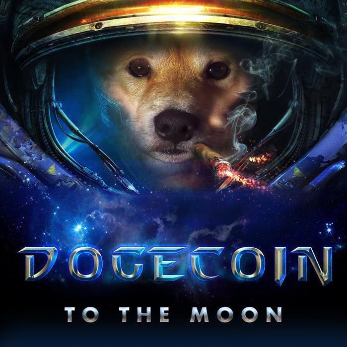 We’re going where no Doge has gone before.. #DogecoinToTheMoon 🚀 #dogecoins #dogecoin #dogearmy #doge #DogecoinTo1Dollar