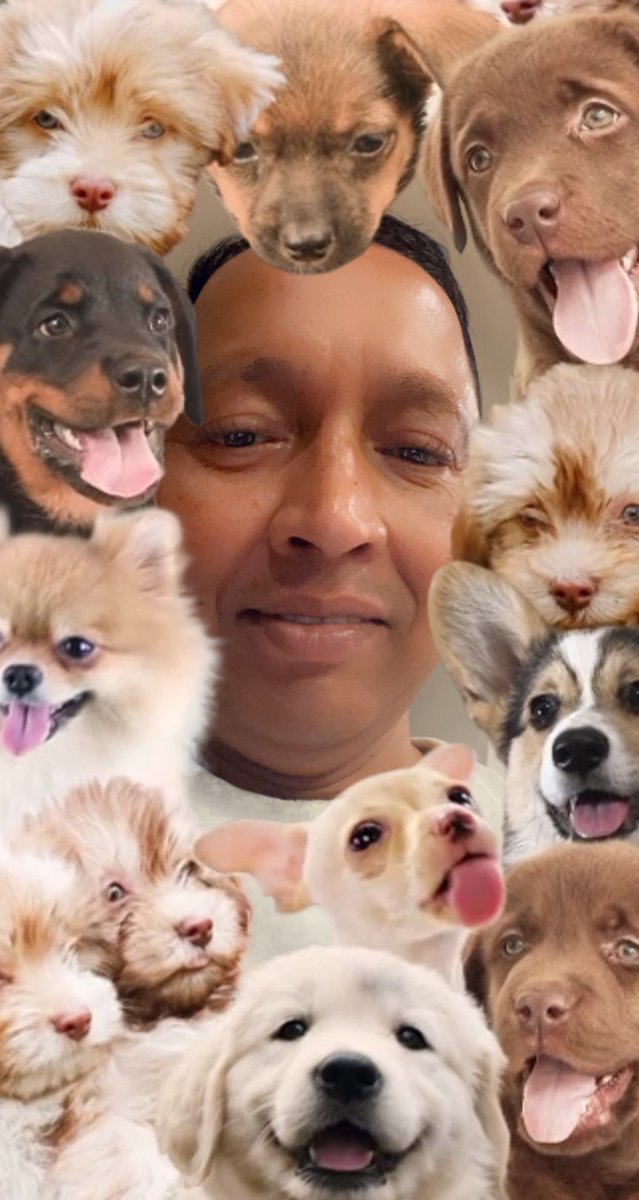 drneel21's tweet photo. If I bought only $3500 of Dogecoin when I first bought... I would be a Millionaire now, lol https://t.co/I6XkqmDsG8