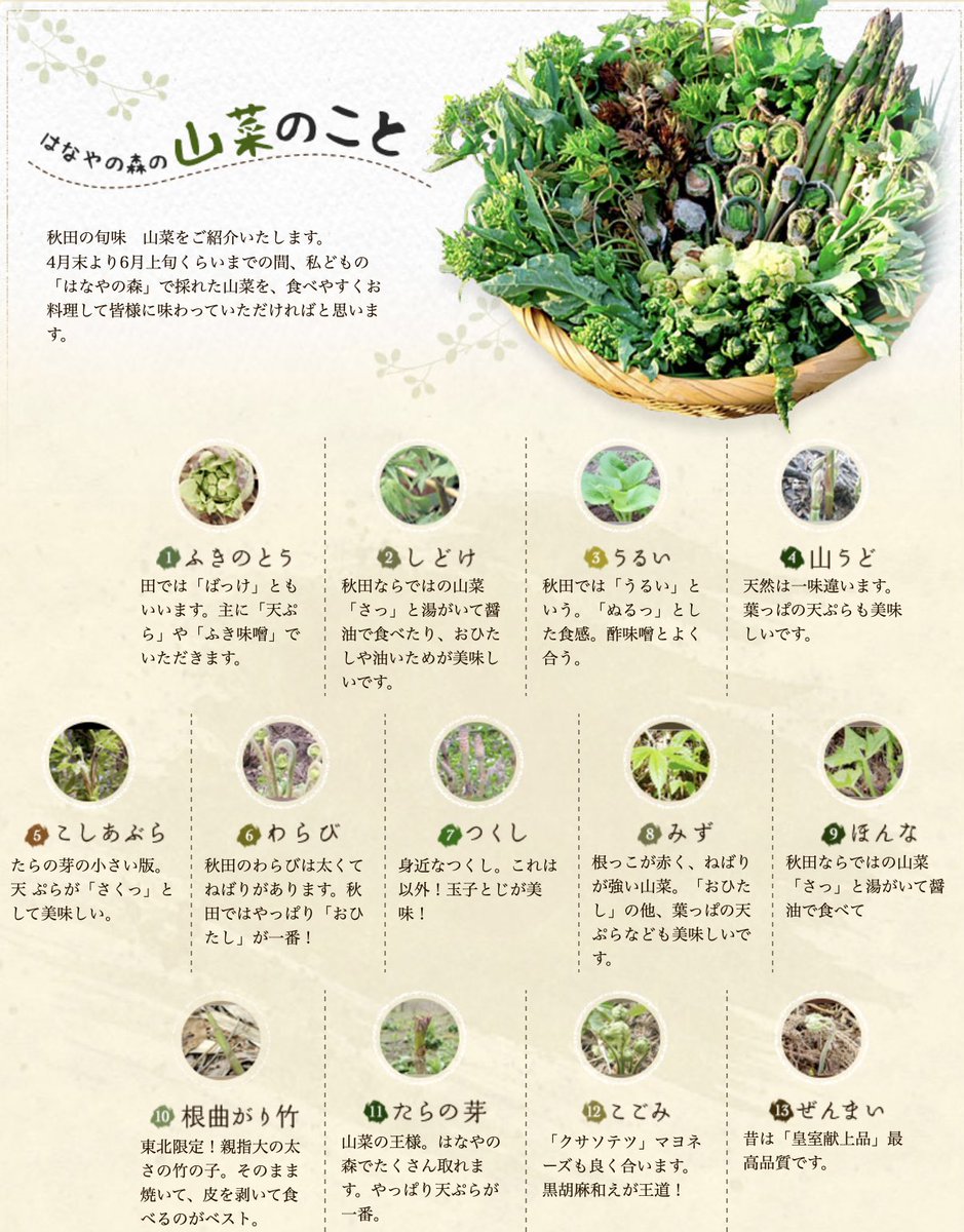 南玉川温泉 湯宿 はなやの森 この時期の秋田は山菜の宝庫ですね はなやの森 では敷地内に山菜が自生しております 料理長自らが朝採りした 新鮮採れたて山菜 をご賞味くださいませ 南玉川温泉 T Co Ztgxk4178e