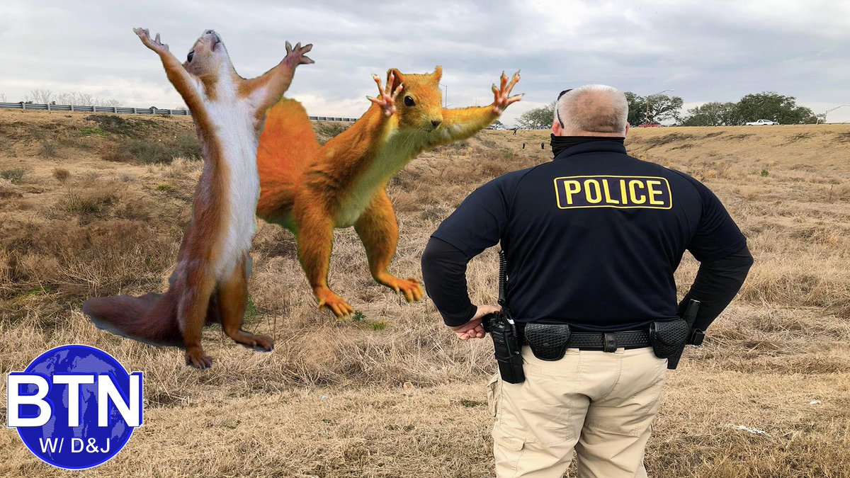 SoundSugarRadio's tweet photo. This confirms what we suspected - squirrels are bad news. Tune into Breaking The News With Dan & Jordan at 8pm to hear the headlines.
#saturday #night #live #fakenews #reallaughs #comedy #improv #yeg #radio #breakingthenews #dan #jordan #soundsugarradio
https://t.co/RzOU8A4nn1 https://t.co/TfIO3Ke2MH