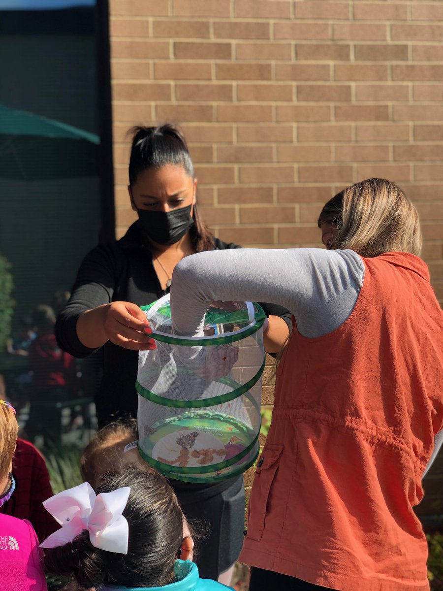 We released our butterflies today!