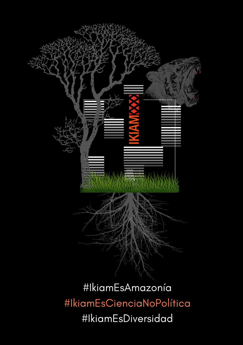 gisella_mena's tweet photo. @u_ikiam es un hito en la educación pública de calidad. Ha permitido avances significativos en el ordenamiento de la investigación e innovación. SE RECHAZA DESINFORMACIÓN CON INTERÉS DE POLÍTICA SUCIA. La comunidad universitaria defenderá su autonomía. 
#IkiamEsCienciaNoPolitica https://t.co/JsTJMUG70q