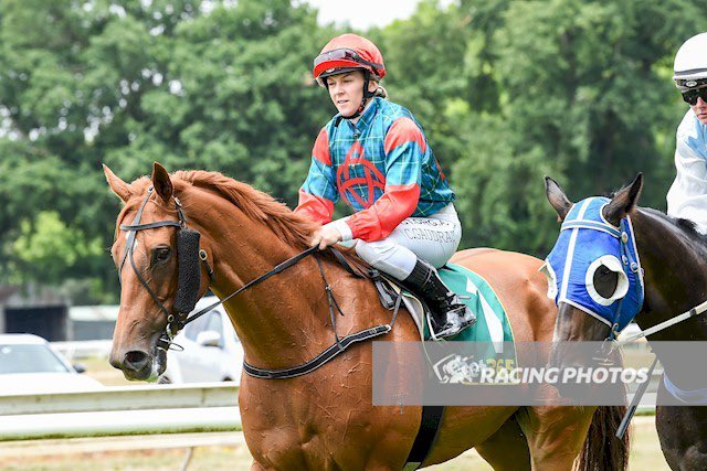 Cloud9Tbreds's tweet photo. Two runners head to @DonaldRaceClub today in search of victory for @Cloud9Tbreds and connections..
🔹R8- #EITILT📸
🔹R9- #DRAIOCHTA
Good luck #TeamSona! https://t.co/myuroy28SL