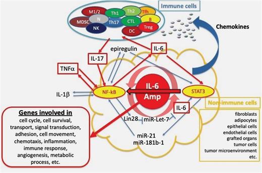 1) COVID-19: ARDS, CANCER, AUTOIMMUNITY, NEURODEGENERATION AND THE IL-6 (AGE) AMPLIFIERThe spike protein of SARS-CoV-2, by the dual actions of being a super-antigen and binding to a7 nAChR receptors, allows for the initiation of the IL-6 amplifier. A breakdown in tolerance to